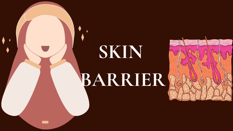 Skin Barrier