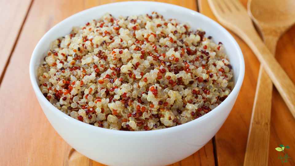 quinoa 