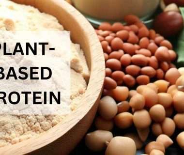 Plant-Based Protein Sources