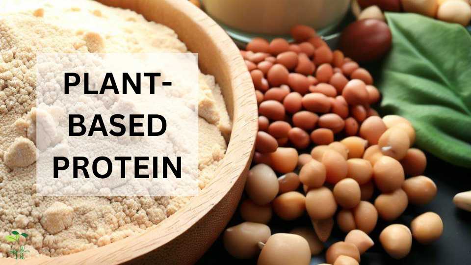 Plant-Based Protein Sources