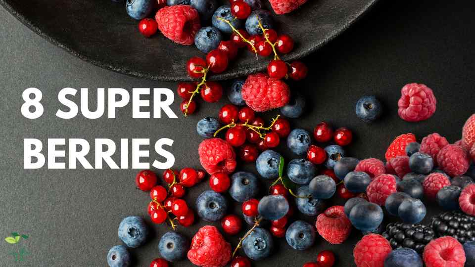 8 SUPER BERRIES