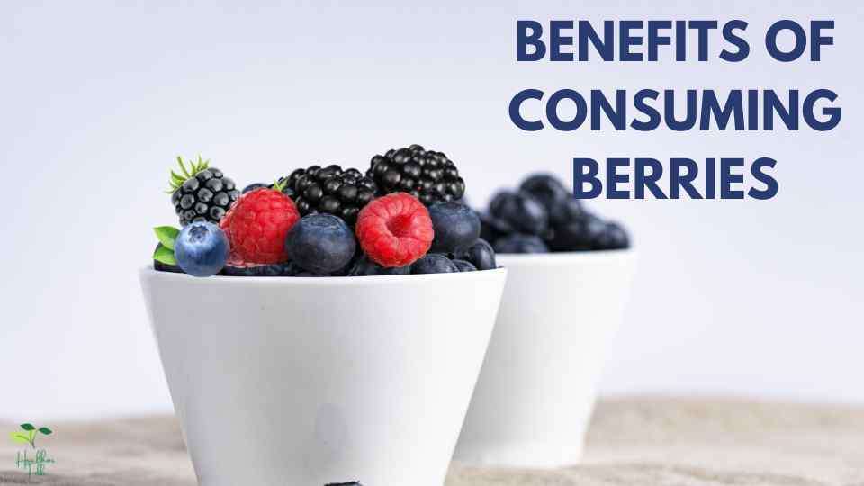 Benefits of berries