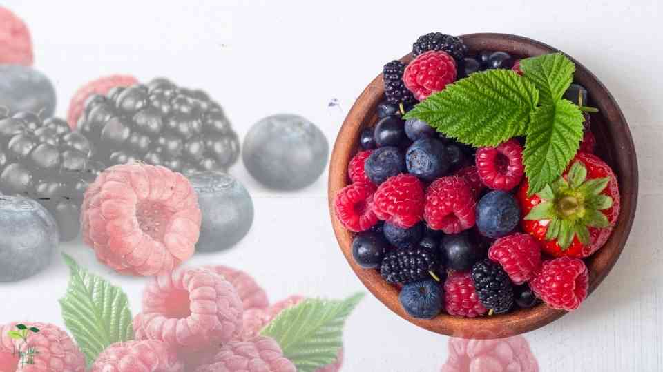 Berries