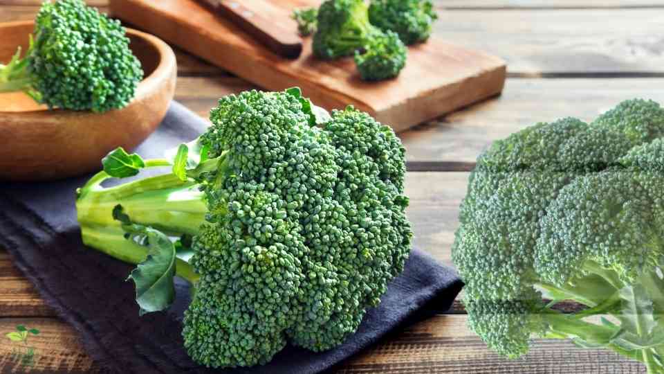 Broccoli