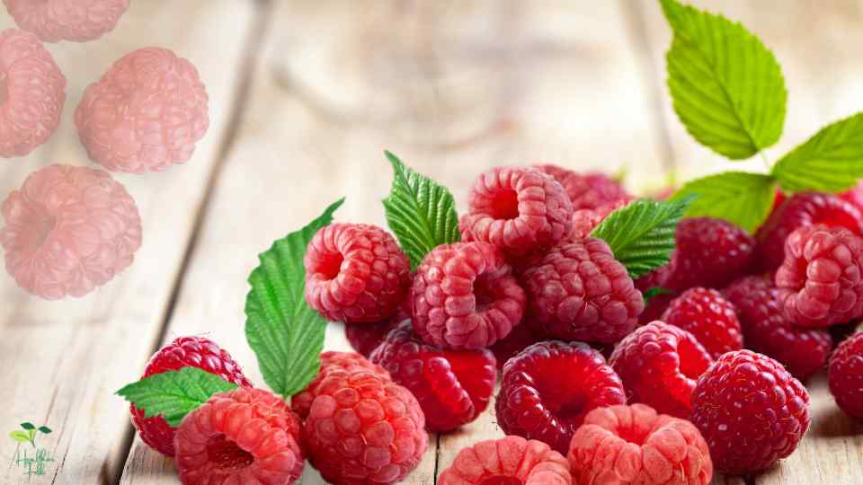 Raspberries