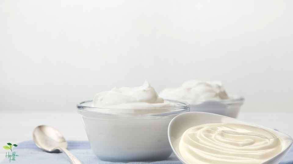 Greek Yogurt