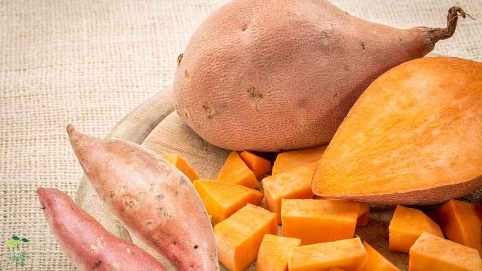 Sweet potatoes